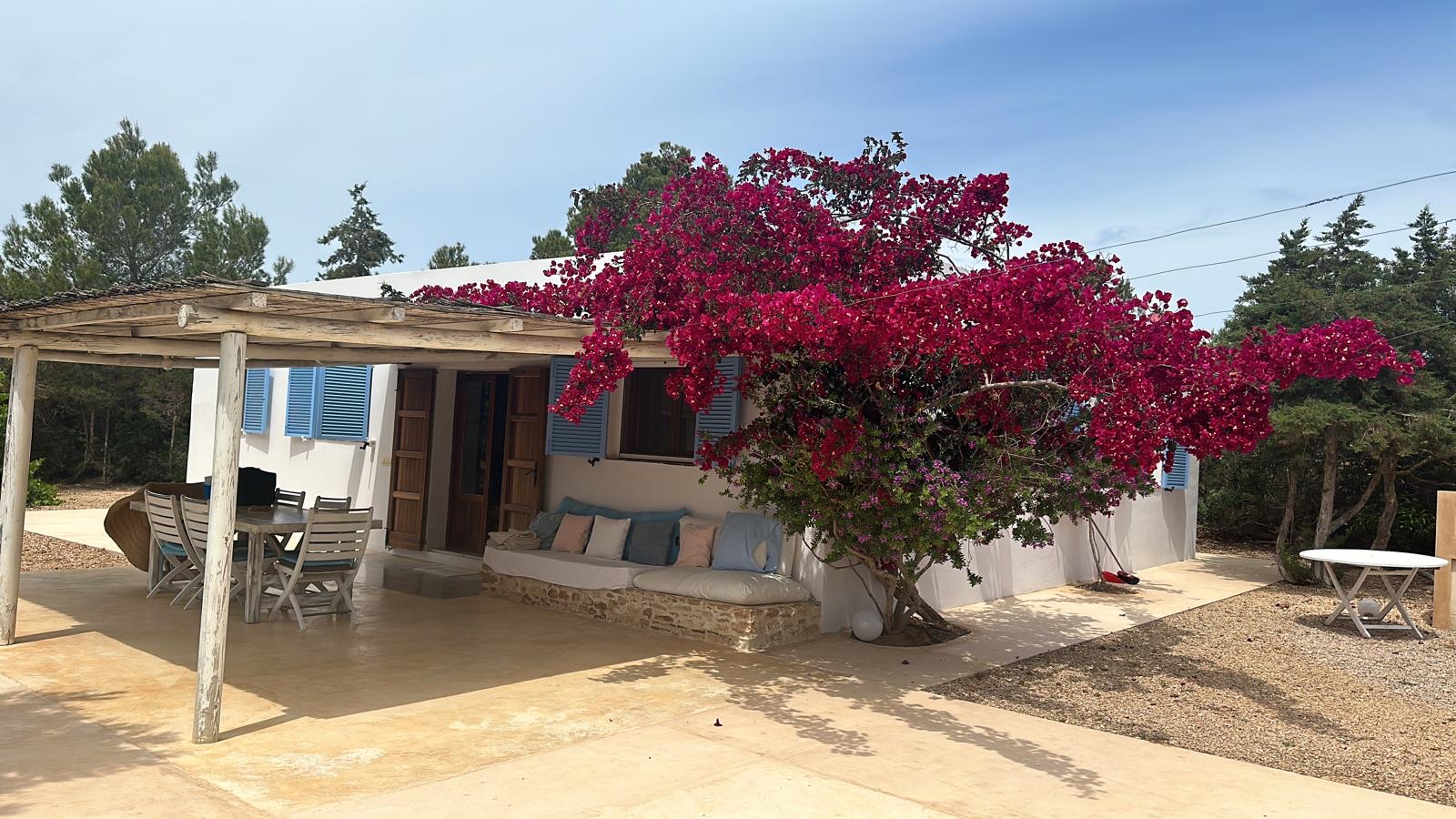 Fotos casas en Formentera