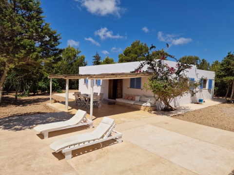 Fotos casas en Formentera