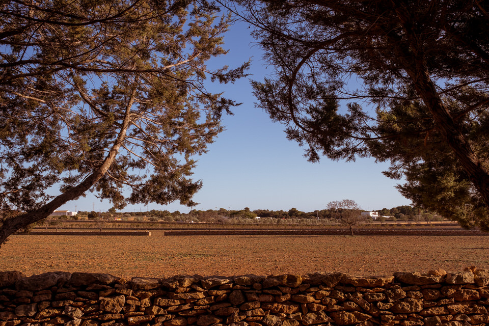 Fotos casas en Formentera